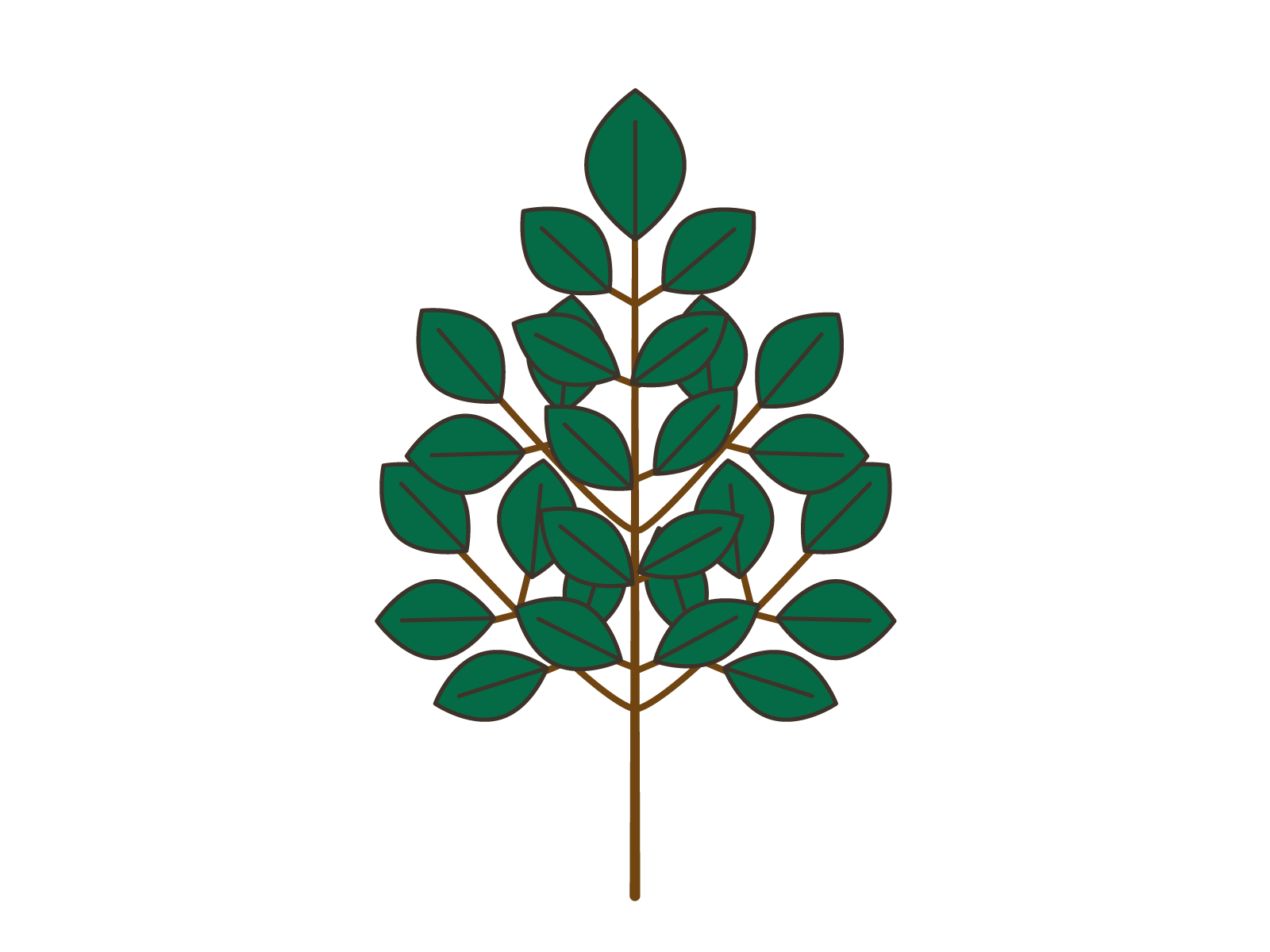 榊
